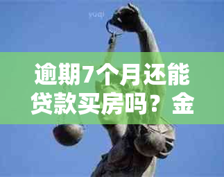 逾期7个月还能贷款买房吗？金额小怎么办？