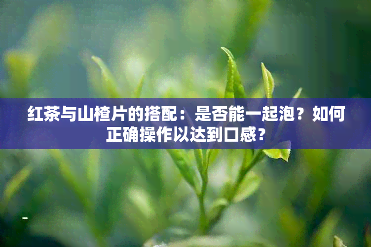 红茶与山楂片的搭配：是否能一起泡？如何正确操作以达到口感？