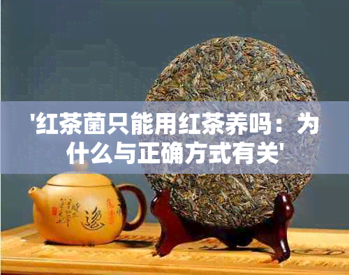 '红茶菌只能用红茶养吗：为什么与正确方式有关'