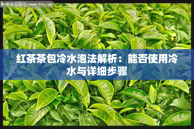 红茶茶包冷水泡法解析：能否使用冷水与详细步骤