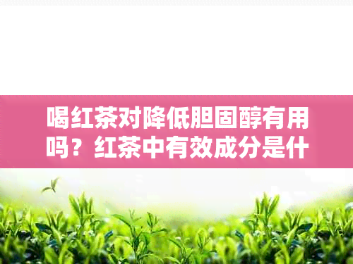 喝红茶对降低胆固醇有用吗？红茶中有效成分是什么？