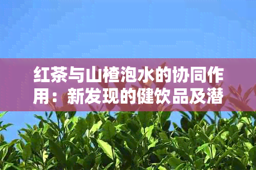 红茶与山楂泡水的协同作用：新发现的健饮品及潜在疗效