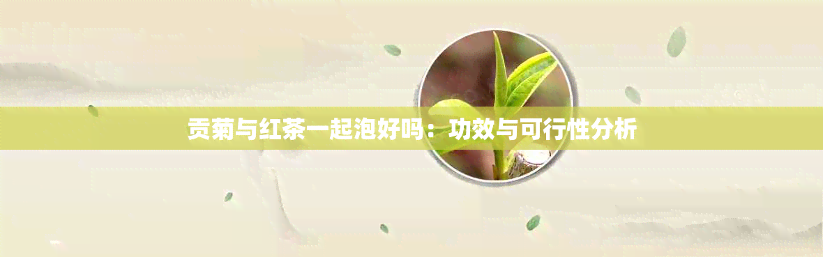 贡菊与红茶一起泡好吗：功效与可行性分析