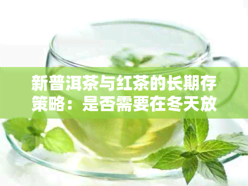 新普洱茶与红茶的长期存策略：是否需要在冬天放入冰箱？