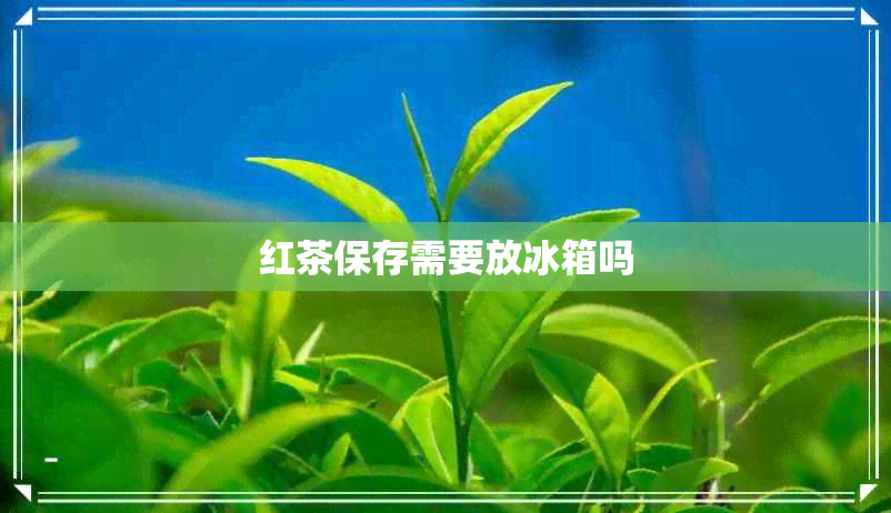 红茶保存需要放冰箱吗