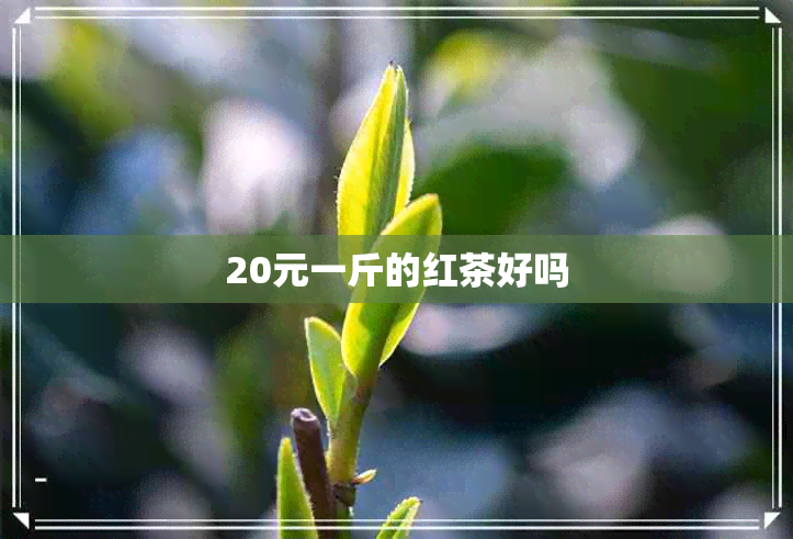 20元一斤的红茶好吗