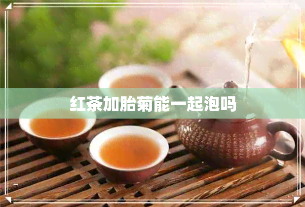 红茶加胎菊能一起泡吗