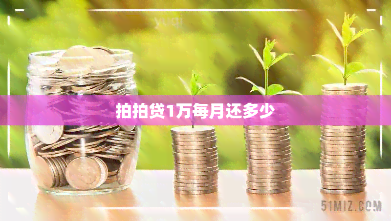 拍拍贷1万每月还多少