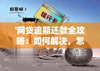 '网贷逾期还款全攻略：如何解决，怎么操作，方法'