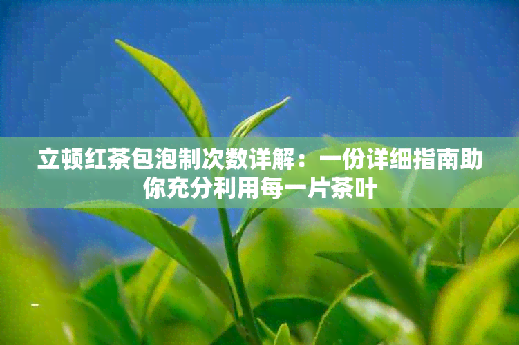 立顿红茶包泡制次数详解：一份详细指南助你充分利用每一片茶叶