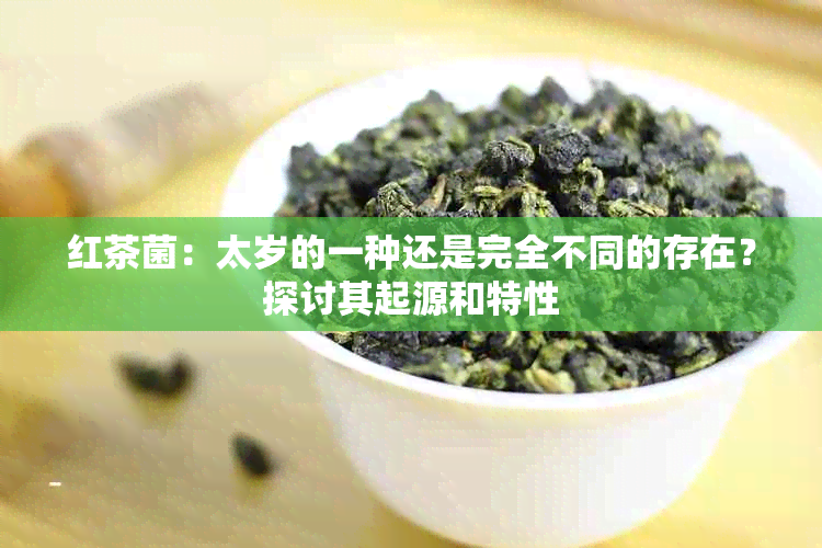 红茶菌：太岁的一种还是完全不同的存在？探讨其起源和特性