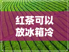 红茶可以放冰箱冷藏吗