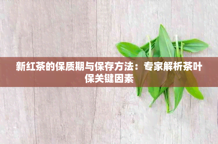 新红茶的保质期与保存方法：专家解析茶叶保关键因素