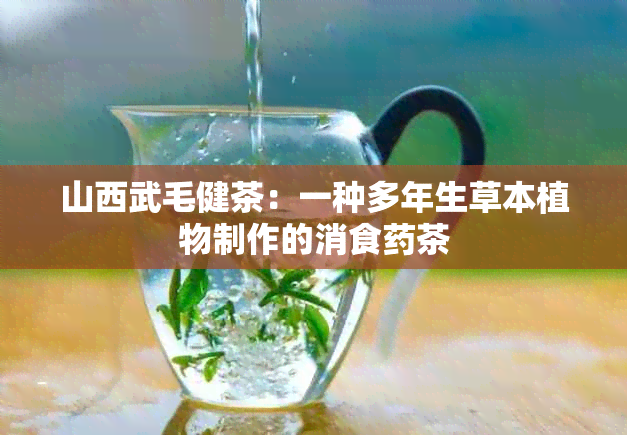 山西武毛健茶：一种多年生草本植物制作的消食茶