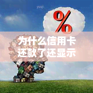 为什么信用卡还款了还显示我未还款：疑惑解答，揭示信用卡还款状态之谜。