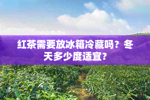 红茶需要放冰箱冷藏吗？冬天多少度适宜？