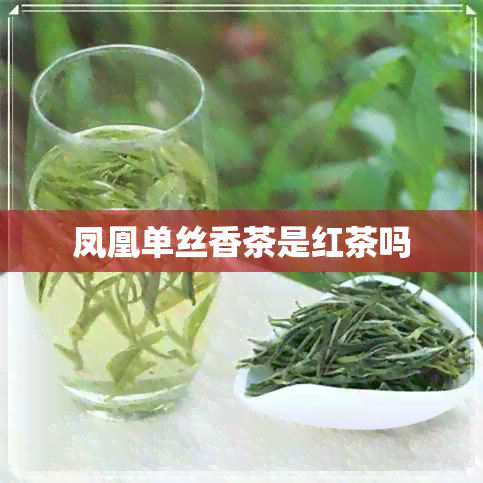 凤凰单丝香茶是红茶吗