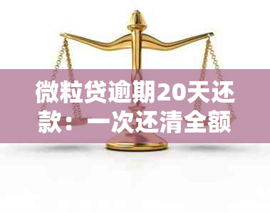 微粒贷逾期20天还款：一次还清全额，会不会被要求多久？