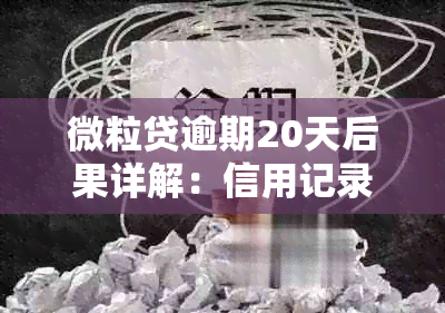 微粒贷逾期20天后果详解：信用记录受损、罚息累积及可能的行动