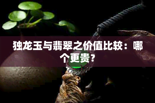 独龙玉与翡翠之价值比较：哪个更贵？