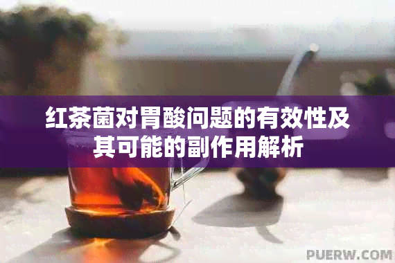 红茶菌对胃酸问题的有效性及其可能的副作用解析