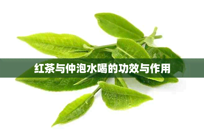 红茶与仲泡水喝的功效与作用