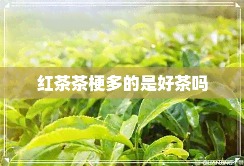 红茶茶梗多的是好茶吗