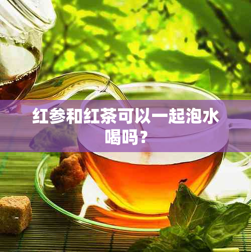 红参和红茶可以一起泡水喝吗？