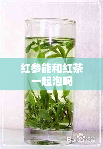 红参能和红茶一起泡吗