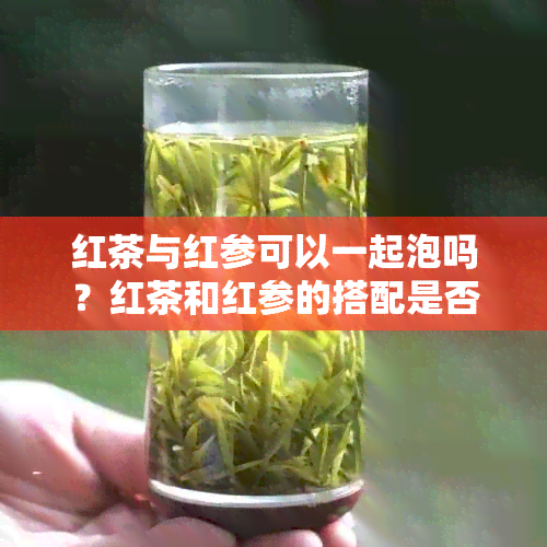 红茶与红参可以一起泡吗？红茶和红参的搭配是否有益健？请提供相关信息。