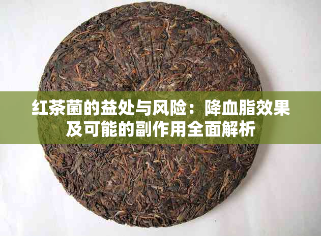 红茶菌的益处与风险：降血脂效果及可能的副作用全面解析