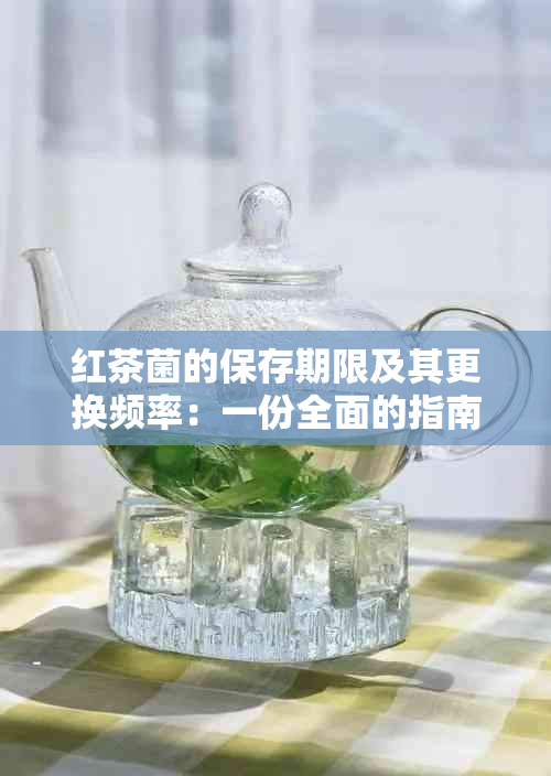 红茶菌的保存期限及其更换频率：一份全面的指南