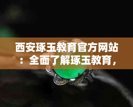 西安琢玉教育官方网站：全面了解琢玉教育，从课程、师资到活动一应俱全！