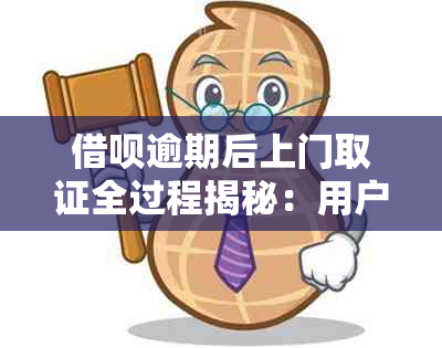 借呗逾期后上门取证全过程揭秘：用户可能面临的后果及应对策略