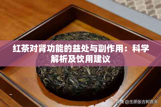 红茶对肾功能的益处与副作用：科学解析及饮用建议