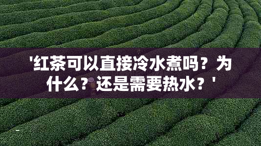 '红茶可以直接冷水煮吗？为什么？还是需要热水？'