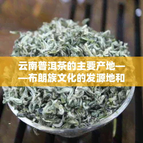 云南普洱茶的主要产地——布朗族文化的发源地和拥有千年历的茶叶产区