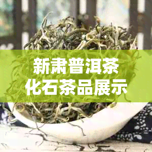 新肃普洱茶化石茶品展示与价格解析 - 探究银子般的收藏价值