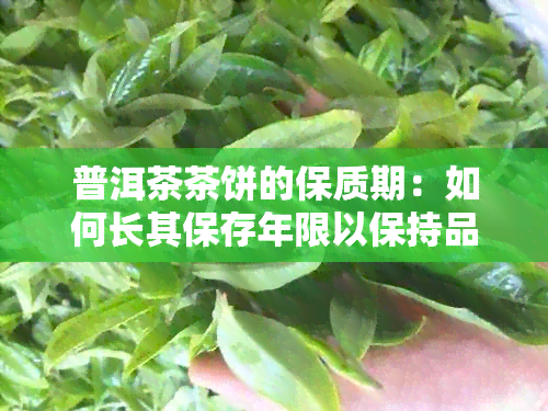 普洱茶茶饼的保质期：如何长其保存年限以保持品质？