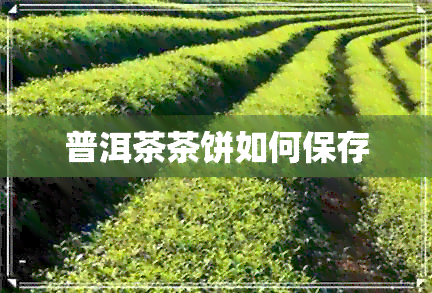 普洱茶茶饼如何保存