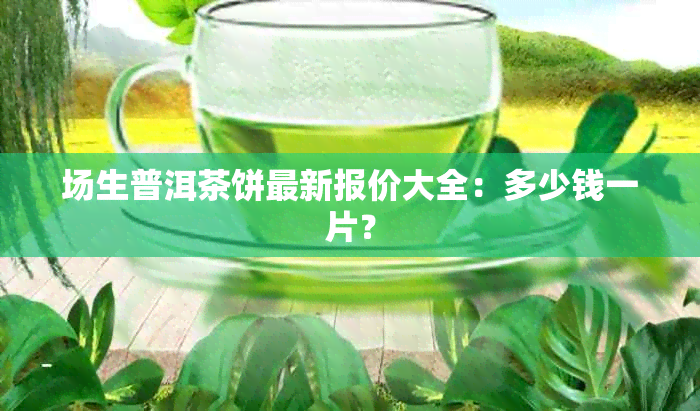 场生普洱茶饼最新报价大全：多少钱一片？