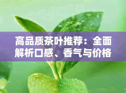 高品质茶叶推荐：全面解析口感、香气与价格，助您轻松挑选上档次的好茶