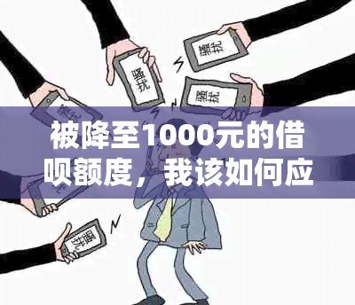 被降至1000元的借呗额度，我该如何应对并恢复？