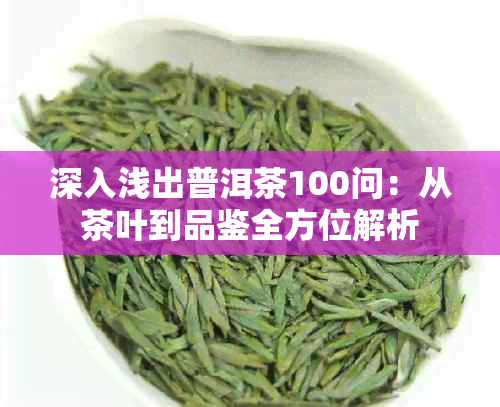 深入浅出普洱茶100问：从茶叶到品鉴全方位解析