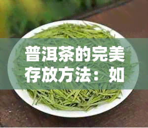 普洱茶的完美存放方法：如何确保茶叶品质和保存环境？