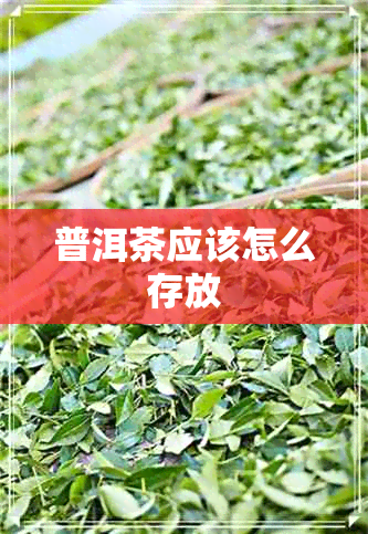 普洱茶应该怎么存放