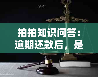 拍拍知识问答：逾期还款后，是否可以再次循环借款？