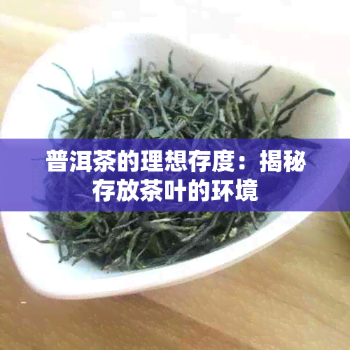 普洱茶的理想存度：揭秘存放茶叶的环境