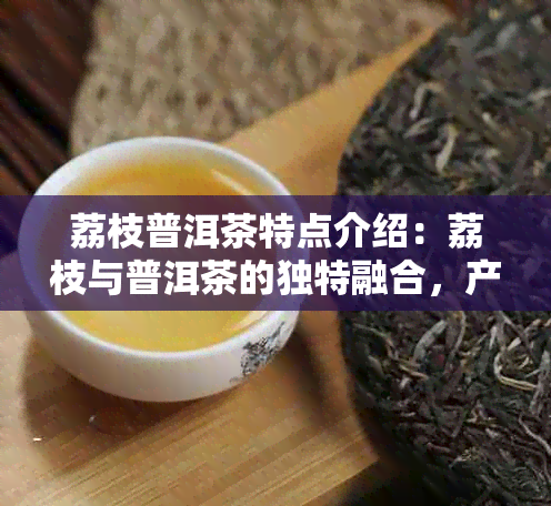 荔枝普洱茶特点介绍：荔枝与普洱茶的独特融合，产生出令人难以忘怀的口感。