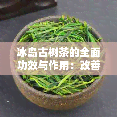 冰岛古树茶的全面功效与作用：改善健、提神醒脑及其它意想不到的好处